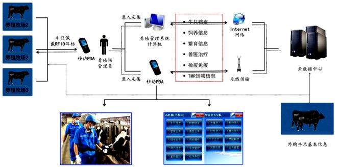 喜訊！中恒國科榮獲中國動物疫病預防控制中心耳標生產廠商認定，助推網絡信息技術推廣服務