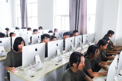 計(jì)算機(jī)平面設(shè)計(jì) 課程體系與職業(yè)前景深度解析